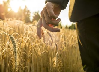 5 Ways to Biohack Yourself Today