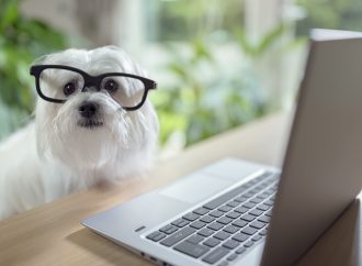 10 Useful Websites You Probably Don’t Know About