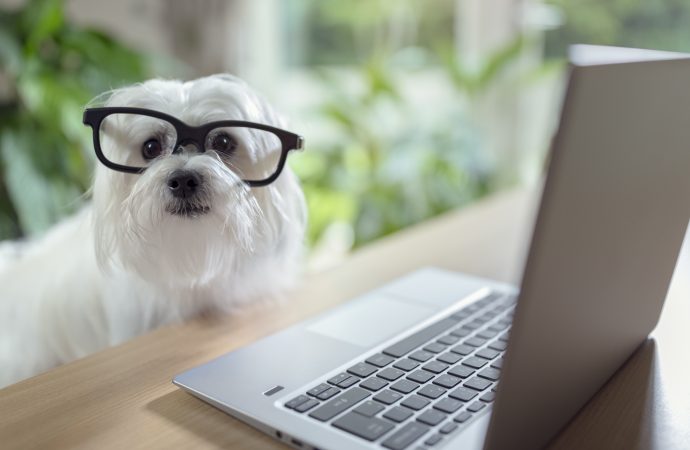 10 Useful Websites You Probably Don’t Know About
