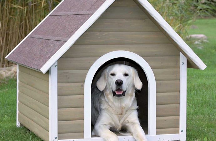 4 Best Dog Houses For the Winter Season