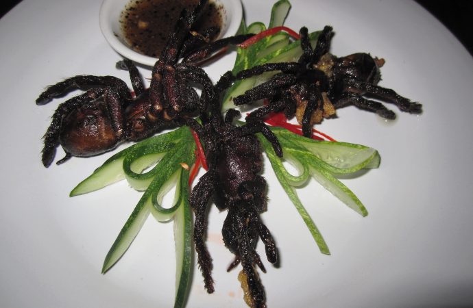 6 Strangest Foods Across the Globe