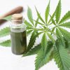5 Things You Should Know About CBD Oil