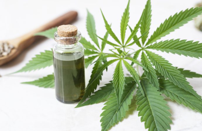 5 Things You Should Know About CBD Oil